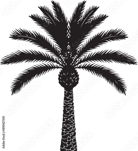 Silhouette of a palm tree centered against a white background. The dark, detailed fronds spread outward, creating a tropical and serene feel