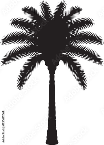 Silhouetted palm tree on a white background, showing distinct jagged leaves and a textured trunk, conveying a tropical, serene vibe