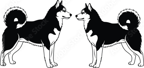 Siberian husky dog vector illustration, black and white standing pet silhouettes facing each other, animal profile clip art, cad drawing flat vector illustration