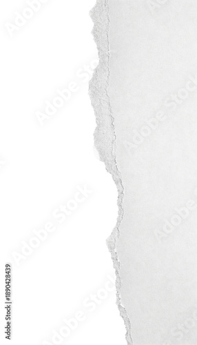 Torn paper edge with rough texture and ripped margin