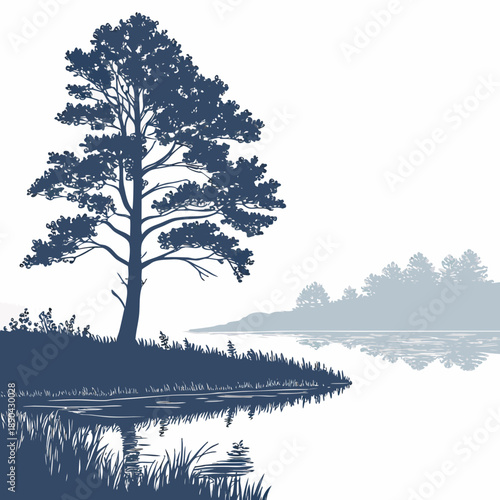 Silhouette of a pine tree on a lakeside shoreline at dawn or dusk