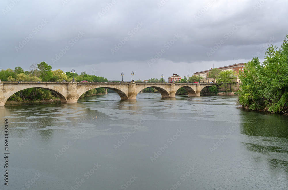 Fototapeta premium Ebro River cityscape in Logrono, Spain, under cloudy daytime sky