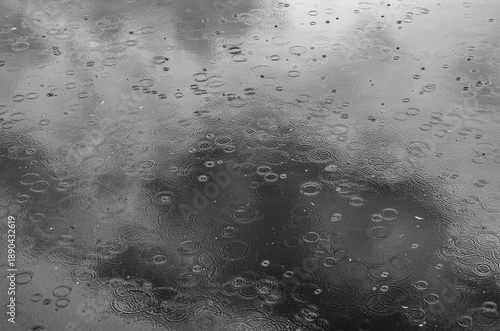 Black and white raindrops on water with ripple circles