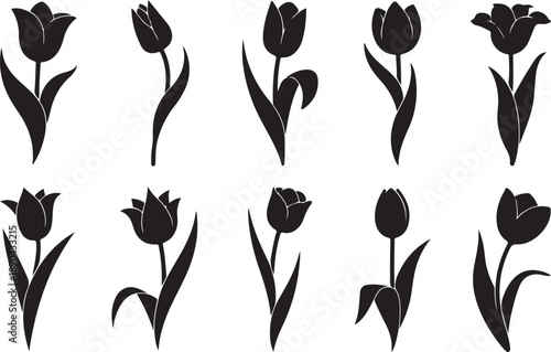 Ten black silhouette illustrations of tulips in various forms and orientations on a white background Keywords: tulip, silhouette, floral, illustration, black, white, isolated, nature, plant