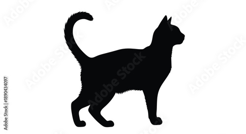 A black cat stands gracefully in a striking silhouette