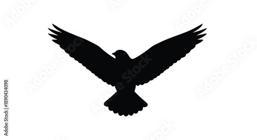 A striking black bird with wings spread a dramatic silhouette