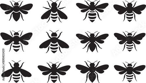 Twelve black silhouette icons of bees in various poses and orientations insect vector