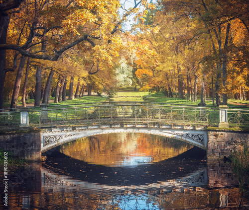 Bridge above the stream in the city park.