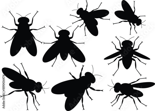 Set of fly silhouettes isolated on white background, black insect collection, housefly vector shapes, pest design elements, entomology illustration pack