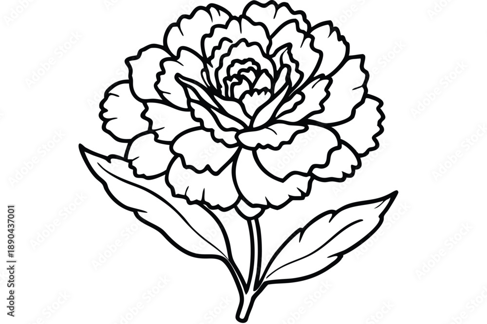 Obraz premium carnation flower silhouette line art vector illustration