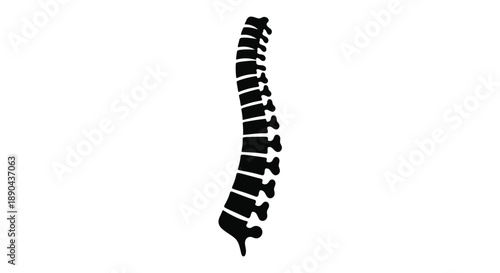 A black silhouette of a human spine side view showing vertebral structure
