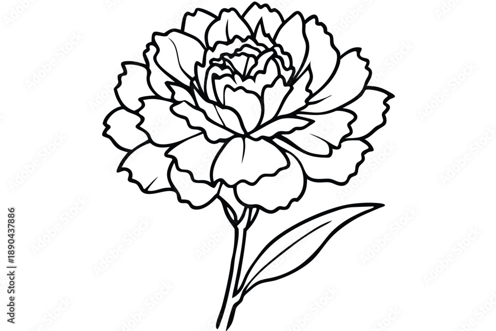 Obraz premium carnation flower silhouette line art vector illustration