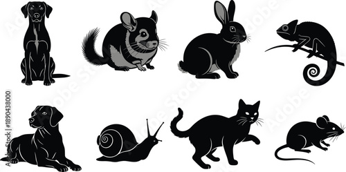 Pet and small animal silhouettes collection, dog cat rabbit mouse chameleon vector illustration set, cute wildlife icons isolated on white background