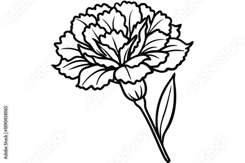 carnation flower silhouette line art vector illustration