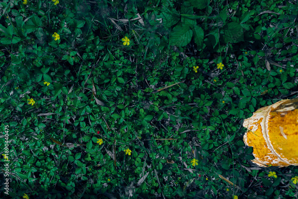 Fototapeta premium Green plants groundcover and small yellow flowers surround a weathered concrete bollard post with peeling paint, top view closeup highlighting texture, color and natural decay.