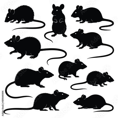 Silhouettes of multiple mice in various poses against a white background