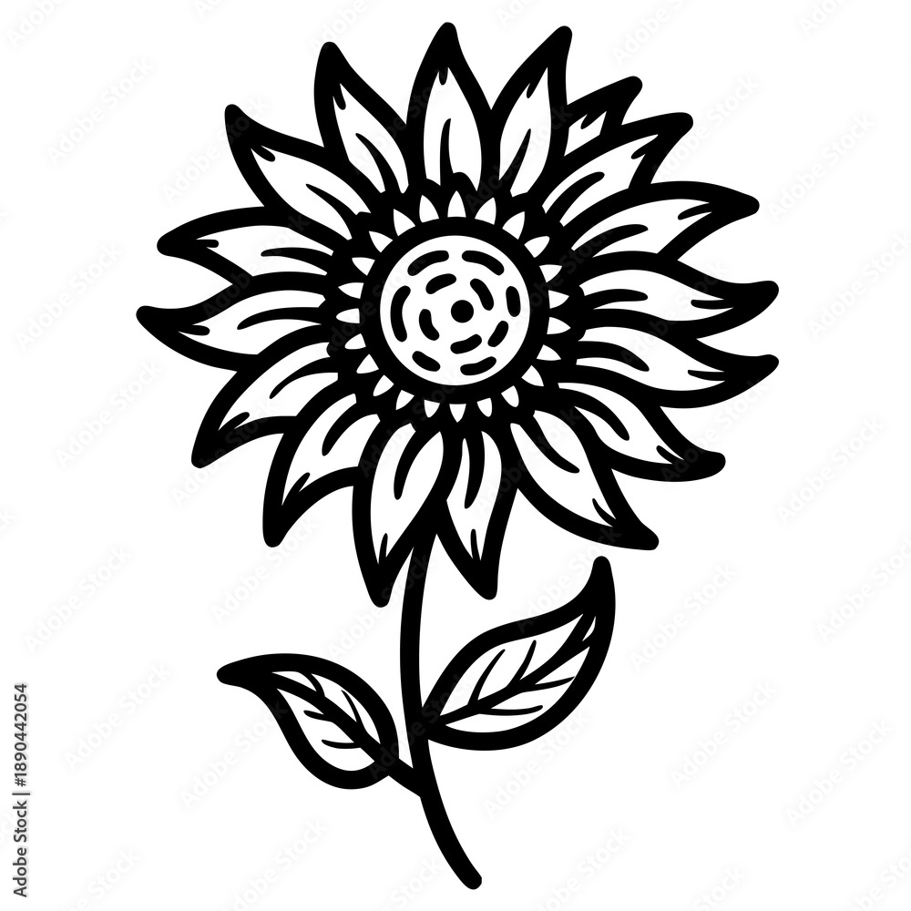 Fototapeta premium Black and white sunflower illustration