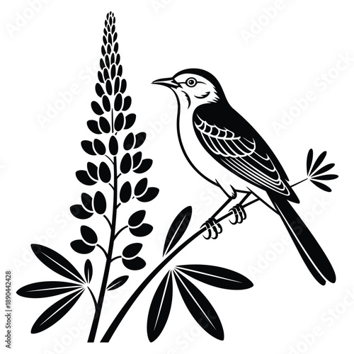 Tableau sur toile A mockingbird perched on a branch beside a blooming lupine flower