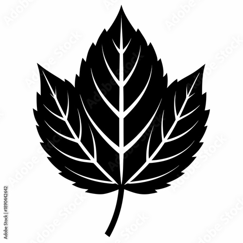 Simple leaf silhouette