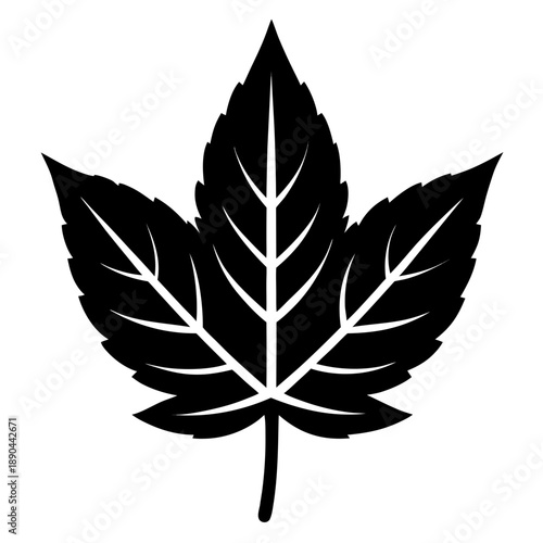 Simple leaf silhouette