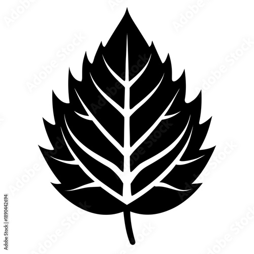 Simple leaf silhouette