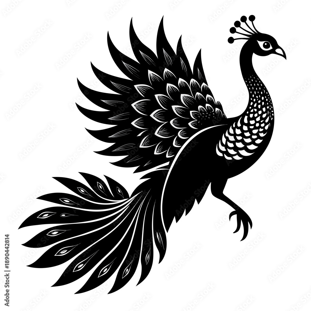 Fototapeta premium Elegant black and white peacock