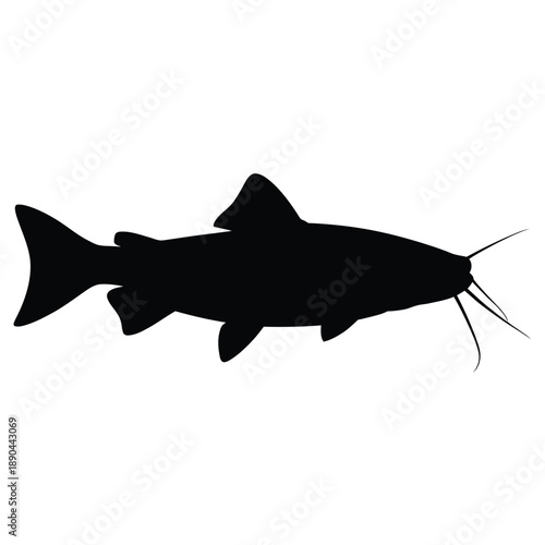 Silhouette of a catfish swimming a black shape against white background
