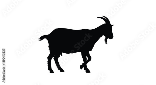A striking black goat stands in profile a bold silhouette