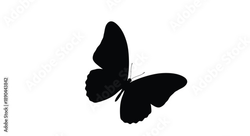 A striking black butterfly form is captured in a dark silhouette