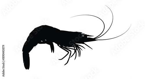A striking black shrimp form elegantly captured in silhouette