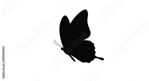 A striking black butterfly form against a white background silhouette