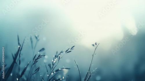 Dew dappled grass blades glistening with morning droplets, reflecting soft sunlight for a cool, fresh, tranquil meadow scene rich in green and blue tones