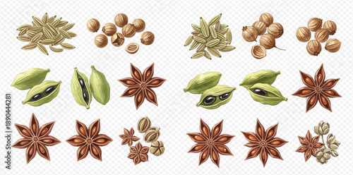 A collection of aromatic spices including star anise, cardamom, and coriander seeds.