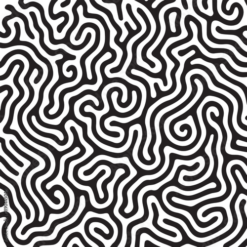 Abstract organic maze pattern with black and white curving lines creating a natural appearance
