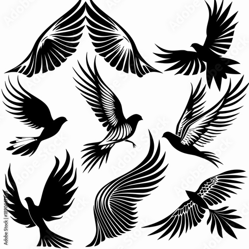 Dynamic flying bird and majestic wing silhouettes collection. Black graphic design elements of various avian forms in flight on white.