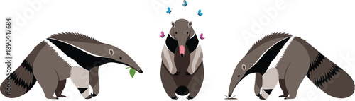 Anteater cartoon vector illustration set. Cute giant anteaters in different poses and actions. Wildlife animal character collection, isolated on white background.