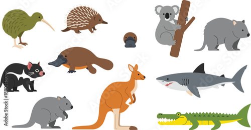 Australian wildlife cartoon vector set. Cute animals including kangaroo, koala, platypus, echidna, kiwi, crocodile, and shark. Flat style fauna illustration, isolated on white background.