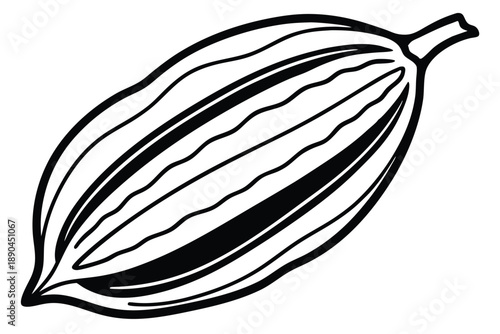 cacao pod silhouette line art vector illustration