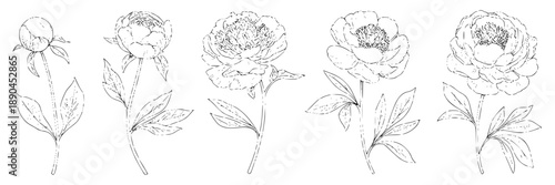 Collection of black and white stylized mountain range icons, vector graphics