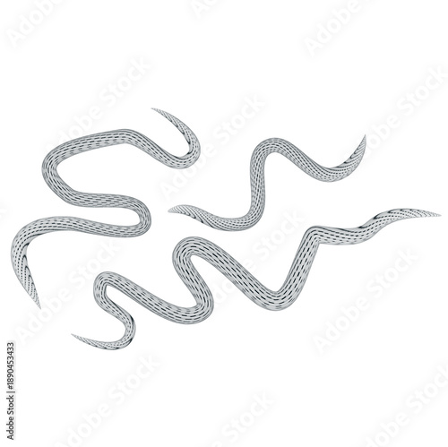Abstract stomach worms vector symbol