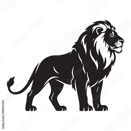 lion black and white