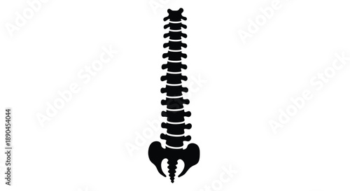 Black silhouette of a human spinal column against a white background