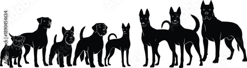 Silhouettes of eight distinct dog breeds in standing poses showcasing diversity in size, shape, and posture for pet, breed, or educational design use