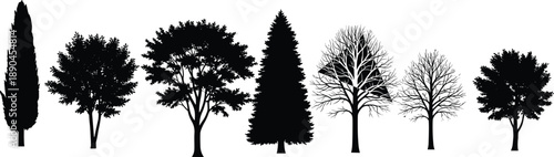 Silhouettes of seven diverse trees with varying shapes, foliage, and seasonal forms for nature, ecology, landscape, or botanical design in black and white