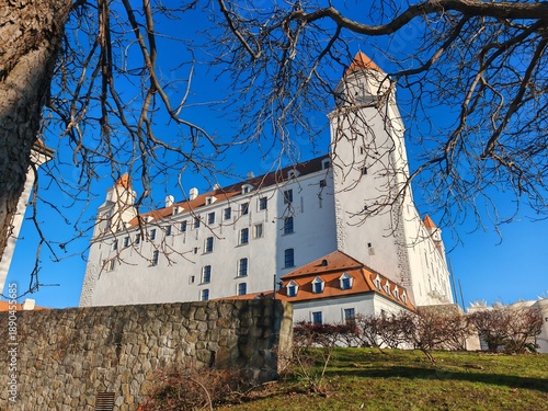 Canvas Print Bratislava castle in Slovakia. Blue sky