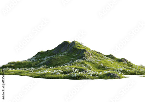 Lush green mountain slope covered in small white wildflowers and scattered rocks isolated on a transparent background
