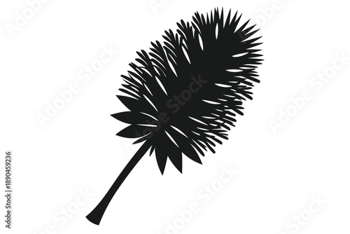 bottlebrush silhouette line art vector illustration