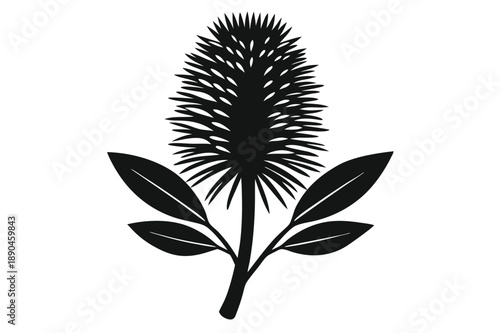 bottlebrush silhouette line art vector illustration