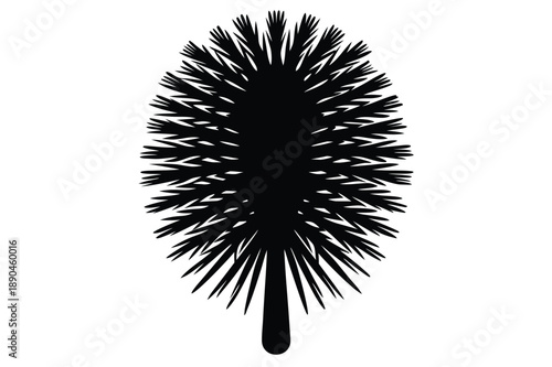 bottlebrush silhouette line art vector illustration