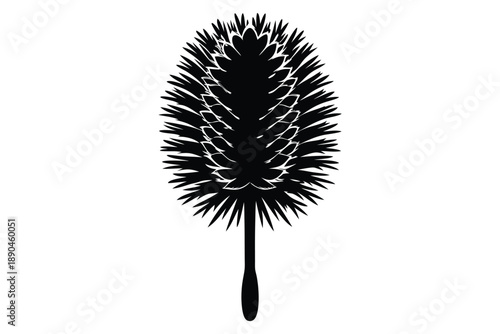 bottlebrush silhouette line art vector illustration